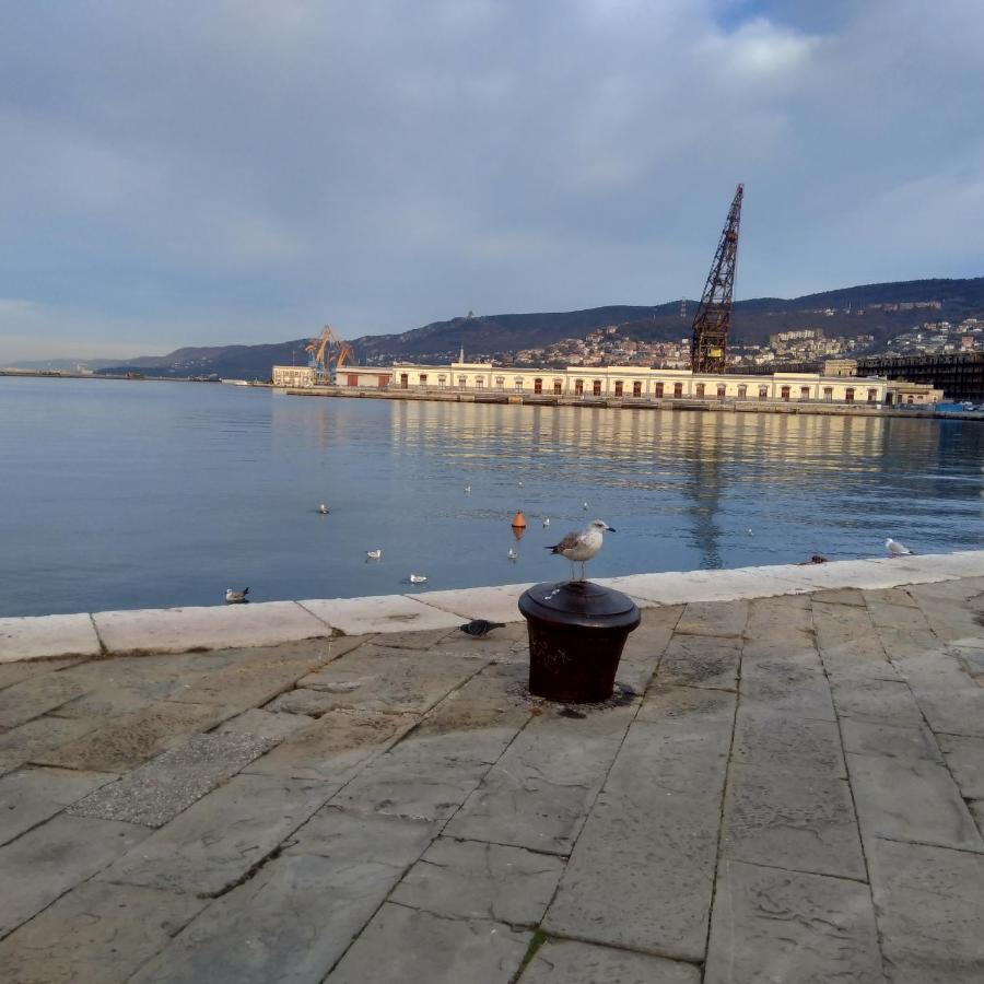 Casa Antica - Historical Apartment In Old City Center Trieste Eksteriør billede